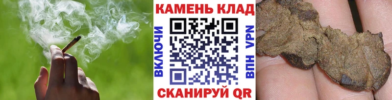 даркнет сайт  hydra зеркало  ГАШИШ индика сатива  Николаевск 