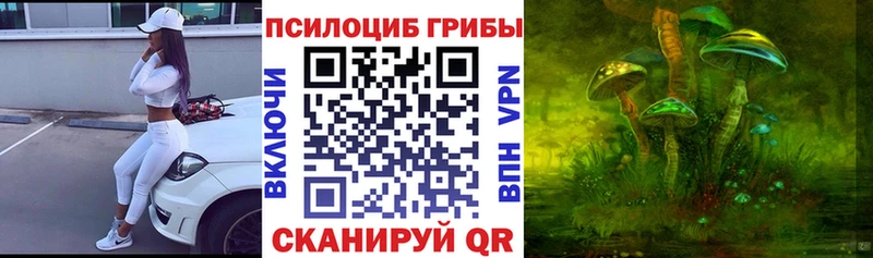 Псилоцибиновые грибы прущие грибы  кракен сайт  Николаевск 
